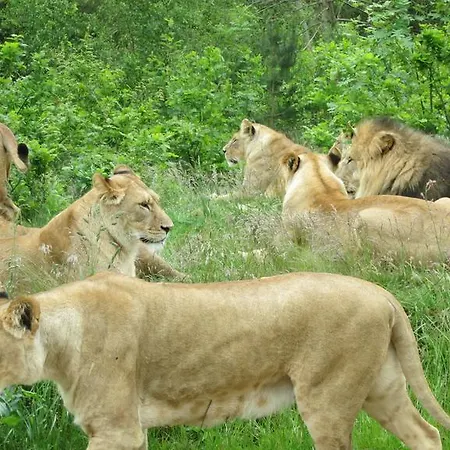 Zoo Vandrerhjem *