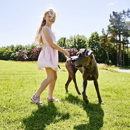 Zoo Albergue Givskud