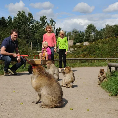 Zoo