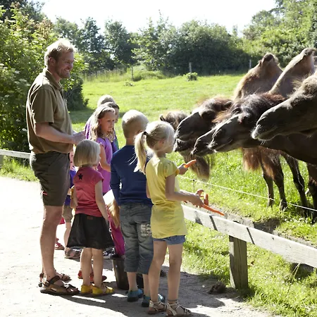Zoo Vandrerhjem