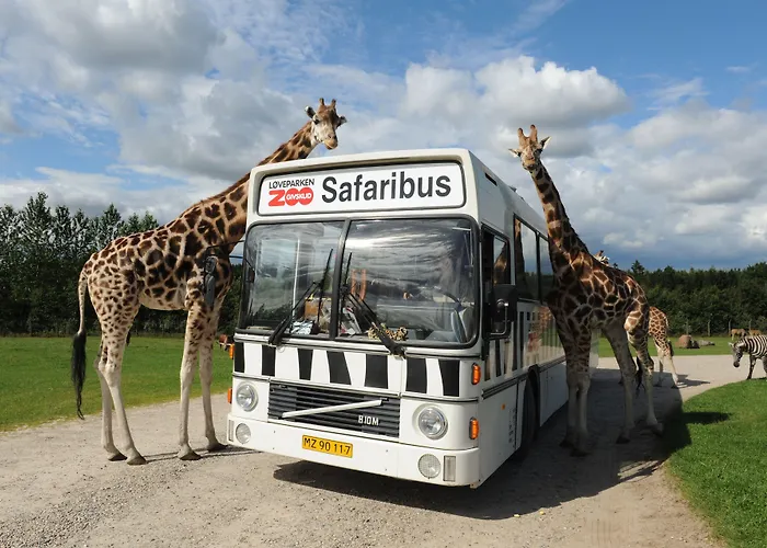 Albergue Zoo Givskud